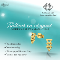 Stalen Pijltjes Oorstekers Goudkleur &acirc;&euro;&ldquo; 9x5mm RVS Nikkelarm -