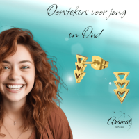 Stalen Pijltjes Oorstekers Goudkleur &acirc;&euro;&ldquo; 9x5mm RVS Nikkelarm -