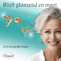 RVS Origami Vogel Oorstekers Ros&Atilde;&copy;goud &acirc;&euro;&ldquo; 9mm 316L Staal Opengewerkt -