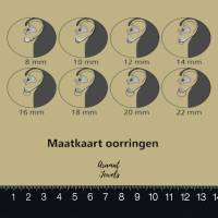 Zilveren Zeester Oorhanger &acirc;&euro;&ldquo; 20mm 925 Zilver E-coat Kind & Dames -