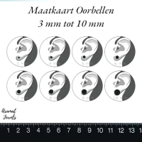 Zilveren Sneaker Oorbellen Zwart Emaille &acirc;&euro;&ldquo; 10x6mm 925 Zilver -
