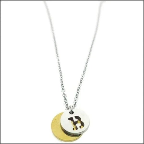 Stalen Initiaal Ketting met Ronde Letter Hanger &acirc;&euro;&ldquo; Gepersonaliseerde Ketting - S -