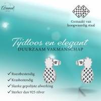 RVS Ananas Oorbellen Diverse Kleuren 10mm - Zomerse Pineapple Studs - Multikleurig -