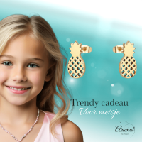 RVS Ananas Oorbellen Diverse Kleuren 10mm - Zomerse Pineapple Studs - Multikleurig -