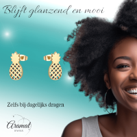 RVS Ananas Oorbellen Diverse Kleuren 10mm - Zomerse Pineapple Studs - Multikleurig -