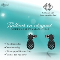 RVS Ananas Oorbellen Diverse Kleuren 10mm - Zomerse Pineapple Studs - Zilverkleur -