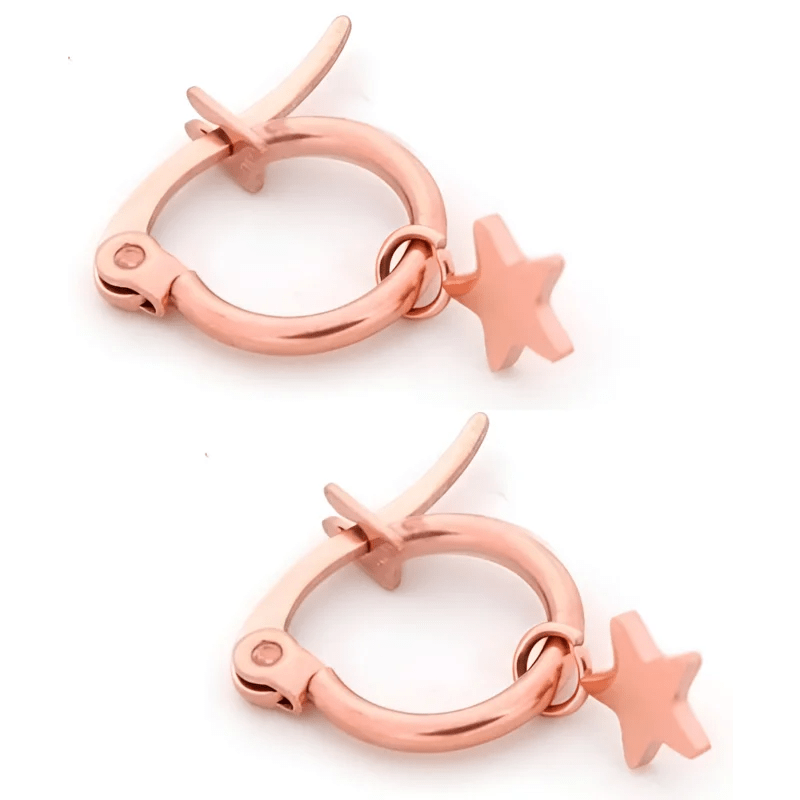 Trendy Stalen Oorringen met Sterretje - 14mm - Zilverkleurig -
