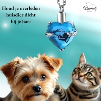 Turquoise Stalen Ashanger Hart &acirc;&euro;&ldquo; RVS Gedenksieraad Zonder Ketting - Unisex