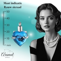 Turquoise Stalen Ashanger Hart &acirc;&euro;&ldquo; RVS Gedenksieraad Zonder Ketting - Unisex