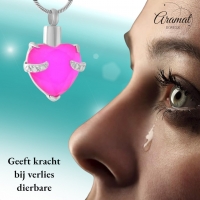 Stalen Ashanger Hart met Grote Steen &acirc;&euro;&ldquo; Hartvormig Gedenksieraad - Rood - Unisex