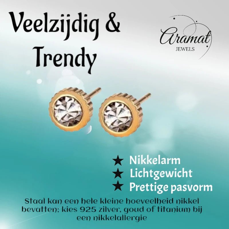 RVS oorbellen met kristal steentje 6mm -
