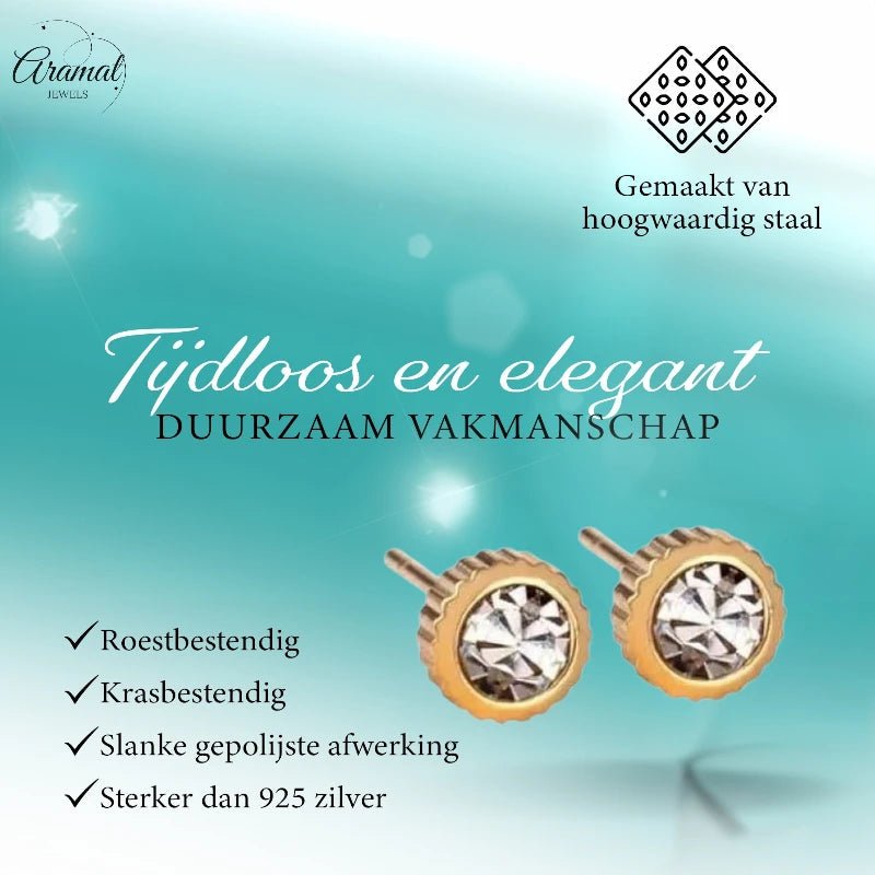 RVS oorbellen met kristal steentje 6mm -
