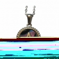 Unieke Stalen Initiaal Ketting met Abalone Schelp - Zilverkleur - 45cm - B - Heren