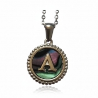 Unieke Stalen Initiaal Ketting met Abalone Schelp - Zilverkleur - 45cm - O - Heren
