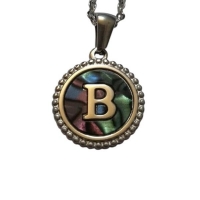 Unieke Stalen Initiaal Ketting met Abalone Schelp - Zilverkleur - 45cm - O - Heren