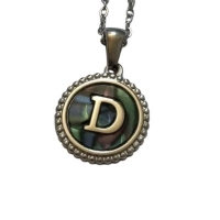 Unieke Stalen Initiaal Ketting met Abalone Schelp - Zilverkleur - 45cm - P - Heren