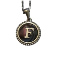 Unieke Stalen Initiaal Ketting met Abalone Schelp - Zilverkleur - 45cm - P - Heren