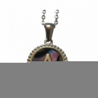 Unieke Stalen Initiaal Ketting met Abalone Schelp - Zilverkleur - 45cm - T - Heren