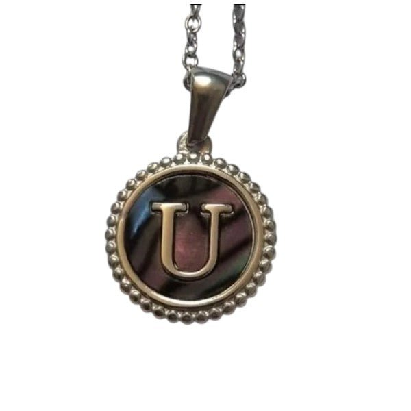 Unieke Stalen Initiaal Ketting met Abalone Schelp - Zilverkleur - 45cm - U - Heren