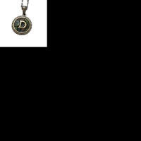 Unieke Stalen Initiaal Ketting met Abalone Schelp - Zilverkleur - 45cm - U - Heren