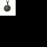 Unieke Stalen Initiaal Ketting met Abalone Schelp - Zilverkleur - 45cm - U - Heren