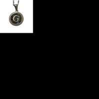 Unieke Stalen Initiaal Ketting met Abalone Schelp - Zilverkleur - 45cm - X - Heren