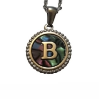 Unieke Stalen Initiaal Ketting met Abalone Schelp - Zilverkleur - 45cm - Z - Heren