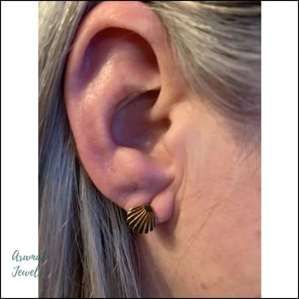 Prachtige Schelp Oorbellen - Goudkleurig -