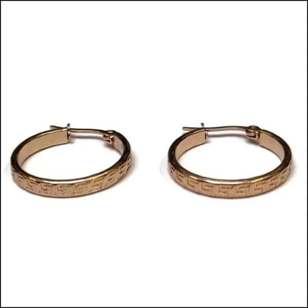 Ros&Atilde;&copy;kleurige Stalen creolen - Grieks-25x3.5mm -