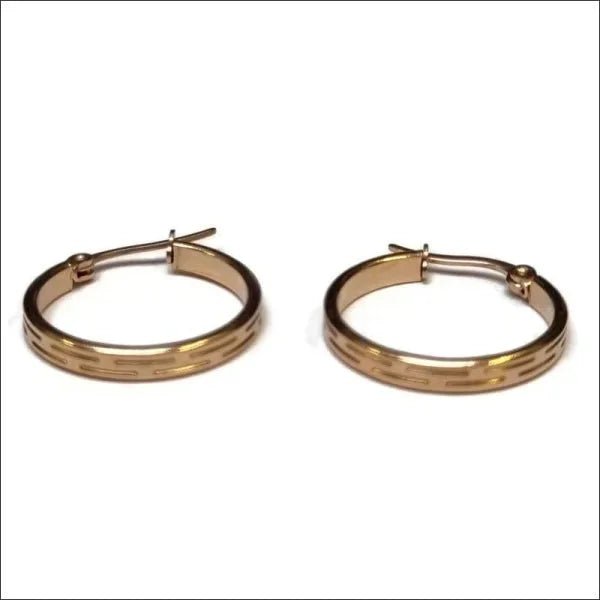 Ros&Atilde;&copy;kleurige Stalen creolen - Grieks-25x3.5mm -