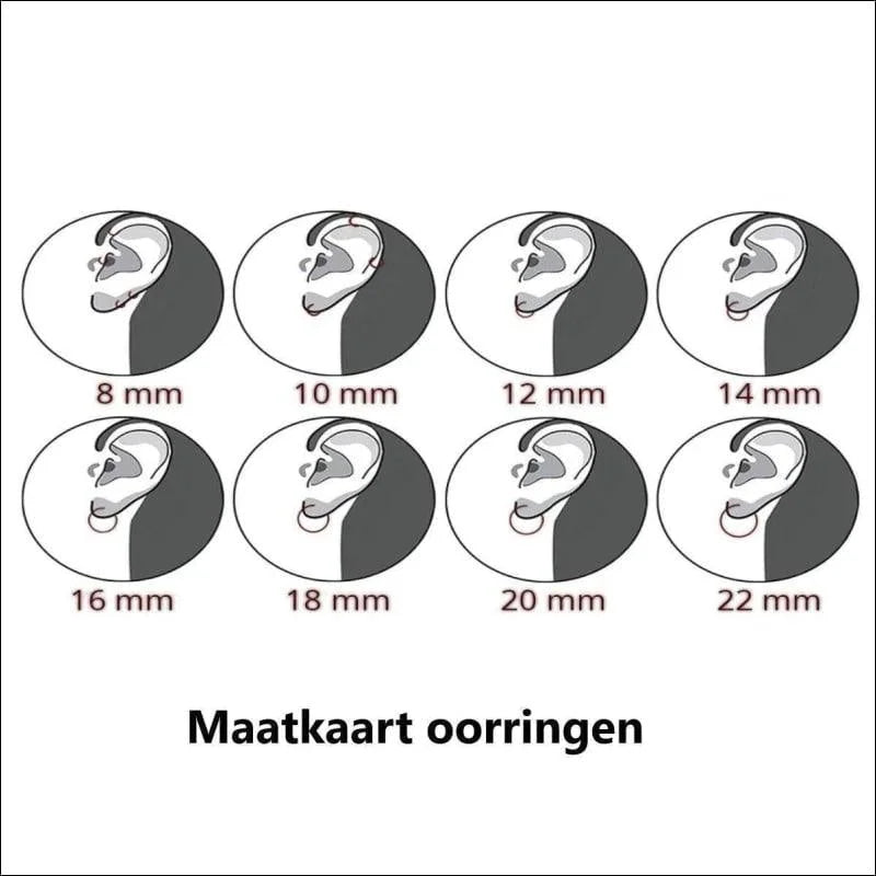 Elegante Cirkel Oorbellen van Roestvrij Staal - Zilverkleurig -