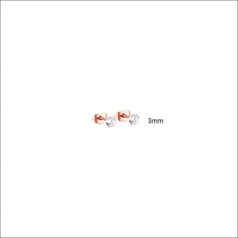 Elegante Stalen Oorbellen met Zirkonia steen - Zilverkleurig / 5mm -