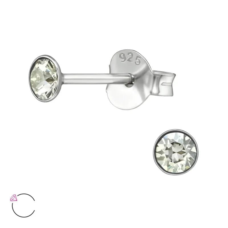 Prachtige Ronde Zilveren Oorbellen - Silver Shade -