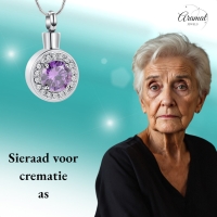 Stalen Zirkonia Ashanger rond - Rood - Heren
