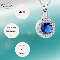 Stalen Zirkonia Ashanger rond - Blauw - Heren