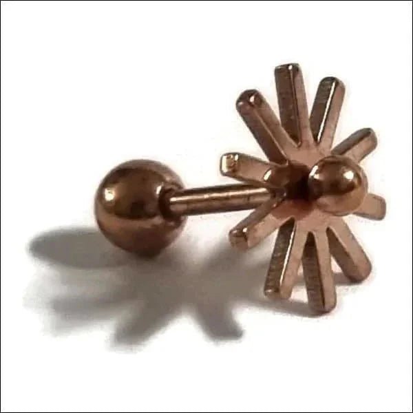 Ros&Atilde;&copy;kleurige Piercing Piercing - oorpiercing - Fantasie-16x13mm - Heren
