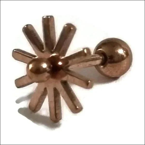 Ros&Atilde;&copy;kleurige Piercing Piercing - oorpiercing - Sleutel-8x4mm - Heren