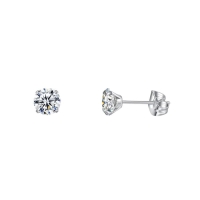 Elegante Titanium Oorbellen Met transparante Zirkonia - 4mm -