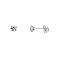 Elegante Titanium Oorbellen Met transparante Zirkonia - 5mm -