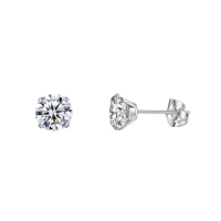 Elegante Titanium Oorbellen Met transparante Zirkonia - 5mm -