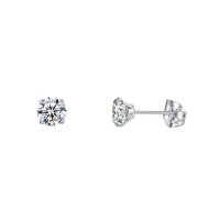 Elegante Titanium Oorbellen Met transparante Zirkonia - 6mm -