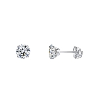 Elegante Titanium Oorbellen Met transparante Zirkonia - 7mm -