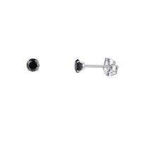 Titanium Oorbellen met Zwarte Zirkonia - 4mm -
