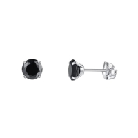 Titanium Oorbellen met Zwarte Zirkonia - 5mm -