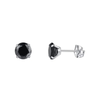 Titanium Oorbellen met Zwarte Zirkonia - 5mm -