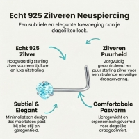 Stalen Neuspiercing met Blauwe Zirkonia - Hart - Heren