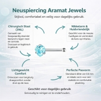 Stijlvolle Blauwe Zirkonia Neuspiercing zilverkleur - Hart - Heren