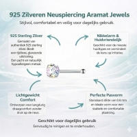 Sprankelende Stalen Neuspiercing met AB Zirkonia - Hart - Unisex