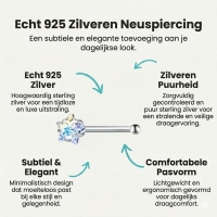 Sprankelende Stalen Neuspiercing met AB Zirkonia - Hart - Unisex