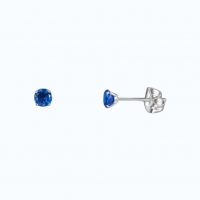 Titanium Oorbellen Met Donkerblauwe Zirkonia - 6mm -